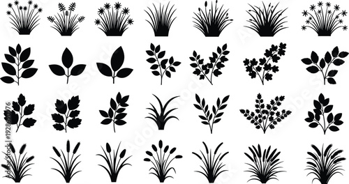 Floral and grass silhouette collection with wildflowers, leaves and botanical elements isolated on white background, black nature vector set for decorative design
