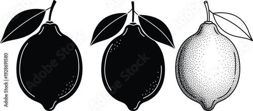 Lemon fruit silhouette set with leaves in black and white vector style, detailed citrus illustration isolated on white background for design and packaging