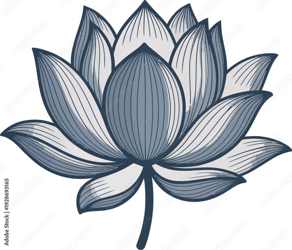 Obraz premium Stylized Blue Lotus Flower Vector Illustration with Detailed Petals and Stem for Wellness and Spa
