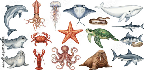 Marine Sea Animals Illustration Set with Dolphin Whale Shark Turtle Octopus Crab and Jellyfish for Ocean Wildlife, Aquarium and Underwater Design