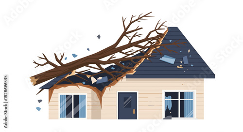 A large fallen tree has crushed the roof of a beige suburban house with dark blue shingles and broken windows on a white background.