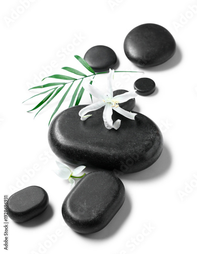 Composition with black spa ...