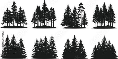 Set of black silhouette vector illustrations of coniferous pine and spruce forest trees isolated on white background for nature landscape and outdoor design (23 words)