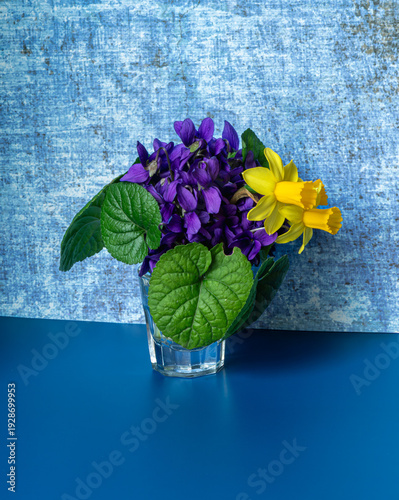 Spring bouquet of yellow daffodils and purple violets in glass vase on blue and yellow background