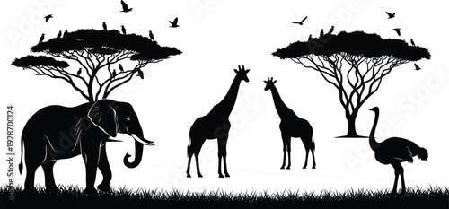 African safari landscape silhouette, wild animals like elephant giraffe and ostrich, acacia trees, black vector illustration, nature wildlife scene, isolated on white background.