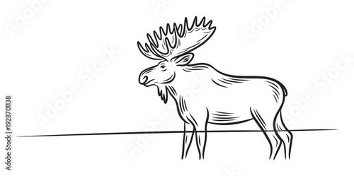 Black line drawing of a majestic moose with prominent antlers, embodying wilderness and natural strength, perfect for outdoor branding, wildlife education, or adventurous decor applications.