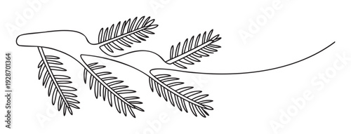 A simple line drawing of a fir branch with distinct needles, perfect for minimalist holiday designs, naturethemed branding, or elegant seasonal greetings and winter collateral.
