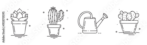 A collection of charming potted succulent plants and cactus varieties along with a watering can for home gardening enthusiasts and plant care guides