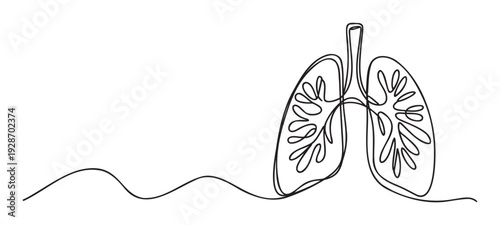 Continuous line drawing of human lungs with trachea, representing respiratory health and anatomy, ideal for medical education and wellness materials