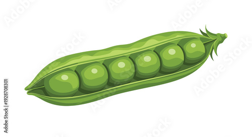 A detailed illustration of a single vibrant green pea pod opened perfectly to display six round, fresh peas aligned neatly inside.