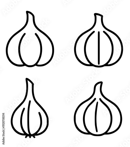 Icon, 4 garlic illustrations with outline design