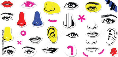 Collection of assorted facial features and sensory organs in various colors and artistic styles