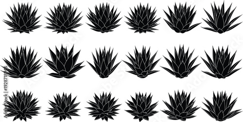 Large collection of black agave succulent silhouettes featuring desert plant shapes aloe vera leaves and tropical cactus greenery elements isolated on white background