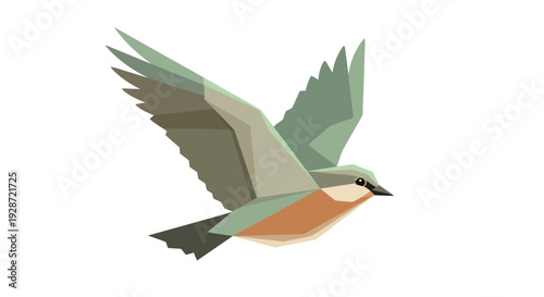 Colorful Bird Flying with Wings Spread.