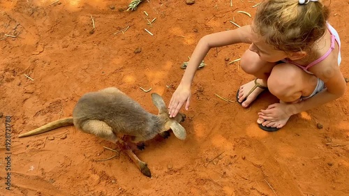  Small grey kangaroo exploring the hand of a young girl on orange desert sand