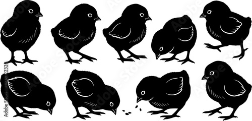 Cute baby chicks' silhouettes collection farm animals.
