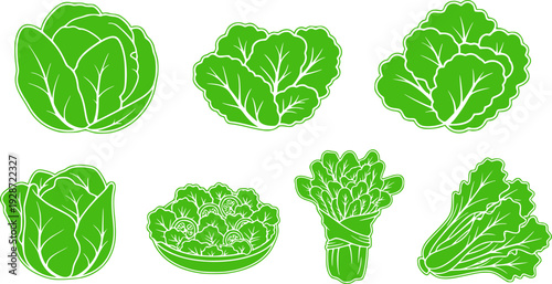 Lettuce and salad cartoon vector of icon.Cartoon vector illustration leaf of lettuce.
