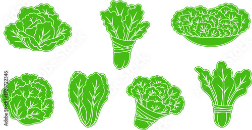 Lettuce and salad cartoon vector of icon.Cartoon vector illustration leaf of lettuce.
