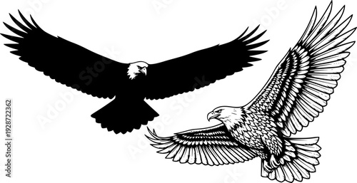 Two eagles in flight depicted in black and white with one in silhouette and one with detail showing feathers editable vector
