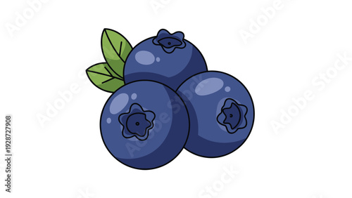 Trio of ripe blue blueberries with two green leaves attached shown in a detailed vector illustration for food and health themes.