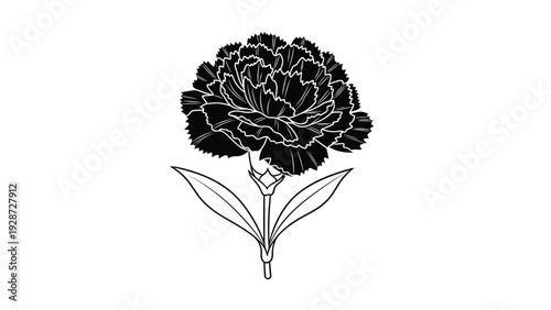 Detailed black and white carnation flower illustration with two leaves on a stem perfect for coloring or line art projects.