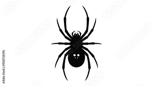 Large black spider silhouette shown from above with long thin legs and two white spots on its abdomen on white background.