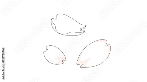 Delicate falling cherry blossom petals illustrated in a simple line art style with soft pink accents on a white background.