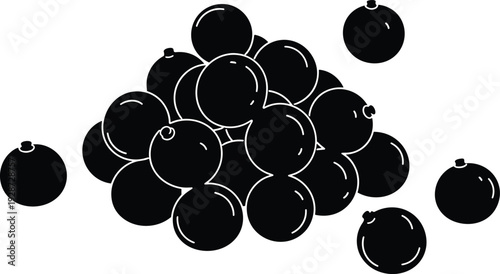 Blackcurrants graphic illustration for healthy food design