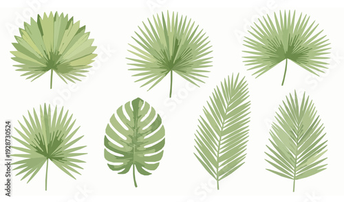 Digital watercolor individual palm leaves isolated on white background