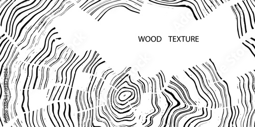 Wood texture frame, wood plank, gray lines on white background, vector design