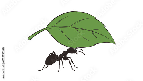 Ant carrying a large green leaf