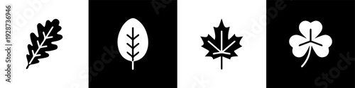 Leaf Icon Set for Environment Sustainability Nature Botanical Design and Eco Friendly Corporate Branding