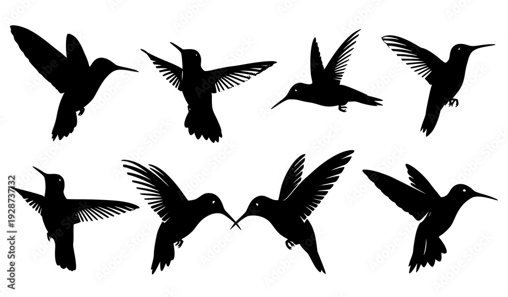 Obraz premium Collection of flying hummingbird silhouettes in dynamic poses isolated on white