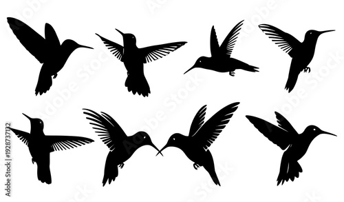 Collection of flying hummingbird silhouettes in dynamic poses isolated on white