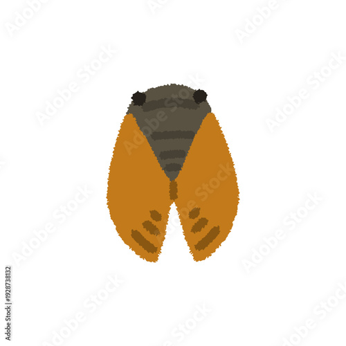 セミ イラスト 夏 昆虫 日本の夏 手描き シンプル