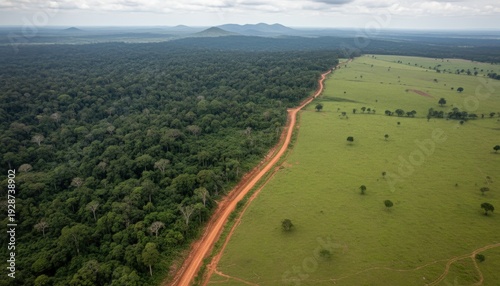 Dirt road dividing lush forest and pasture