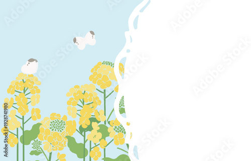 Textile Style Nanohana (Canola Flower) Vector Template (No Text) | Spring Floral Background Illustration