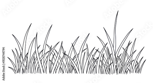 Detailed Black and White Illustration of Lush Green Grass Blades.