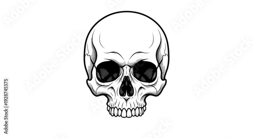 Detailed illustration of a human skull with empty eye sockets and visible teeth.