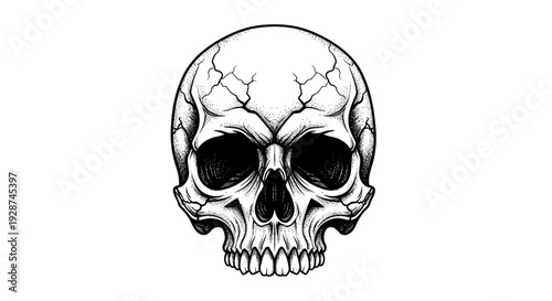 Detailed Illustration of a Human Skull with Intricate Cracks.
