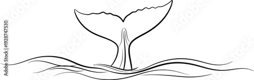 Beautiful black line drawing of whale tail 