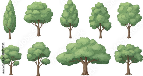 Ten distinct deciduous and coniferous tree illustrations display various shapes and green foliage against a white.