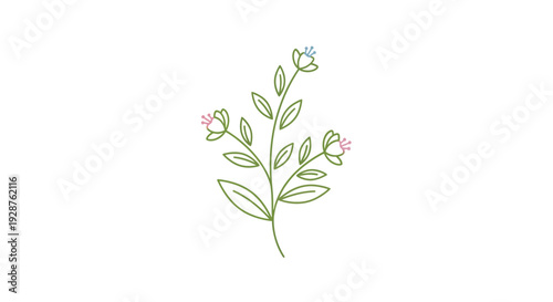 Beautiful lilac branch with green leaves and purple spring blossoms isolated on a white background