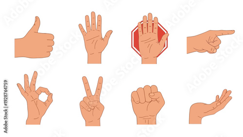 Collection of Human Hand Gesture Vector Illustrations Featuring Thumbs Up, Stop Sign, Victory, OK, Pointing, and Fist Isolated on a Clean White Background Set.