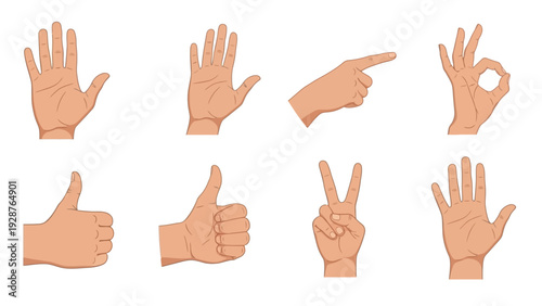 Collection of Human Hand Gestures Vector Illustration Set Featuring Thumbs Up, Peace Sign, OK Symbol, Pointing Finger, and Open Palm Icons on a White Background.