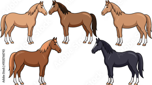 Cartoon horse set collection, various coat colors and poses, farm animal vector illustration isolated on white background, equine character design bundle for kids