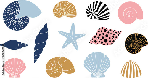 Colorful vector illustration set of various seashells starfish and nautical snail shells with decorative patterns and stripes for summer beach and marine branding
