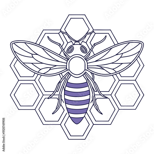 A simple illustration of a bee with a honeycomb structure