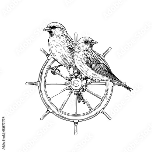 Two birds perched on a ship's wheel nautical illustration vintage style drawing vector art for designers