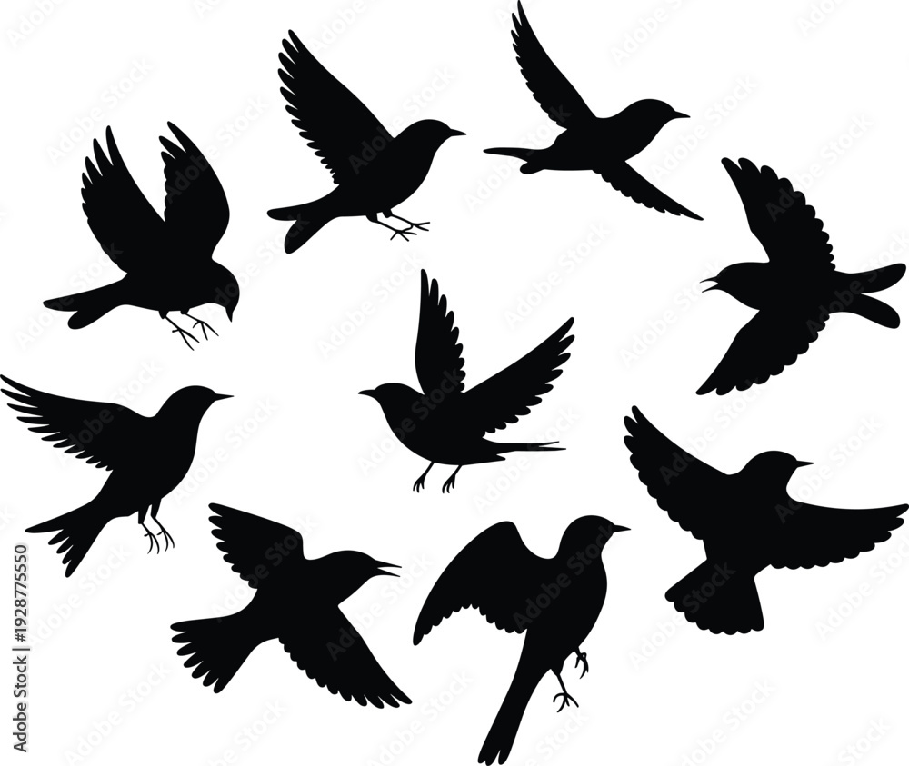 Obraz premium Flying bird silhouettes set black crow raven shadow collection wings spread isolated on white background illustration design